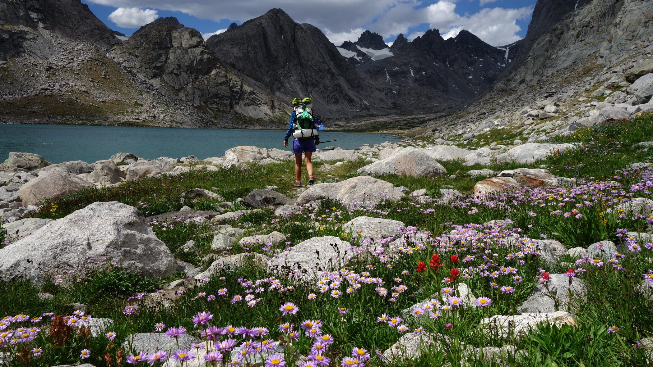 INFO.CZ GALERIE Petr Kosek a stezky americkou divočinou