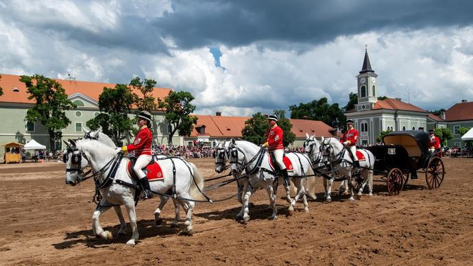 Dobrý ředitel nemá zastání. Kladruby jsou jen poslední důkaz